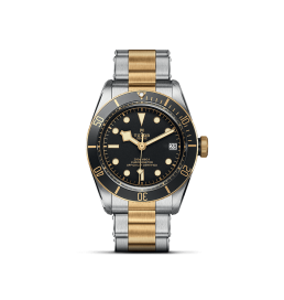 TUDOR Black Bay SG